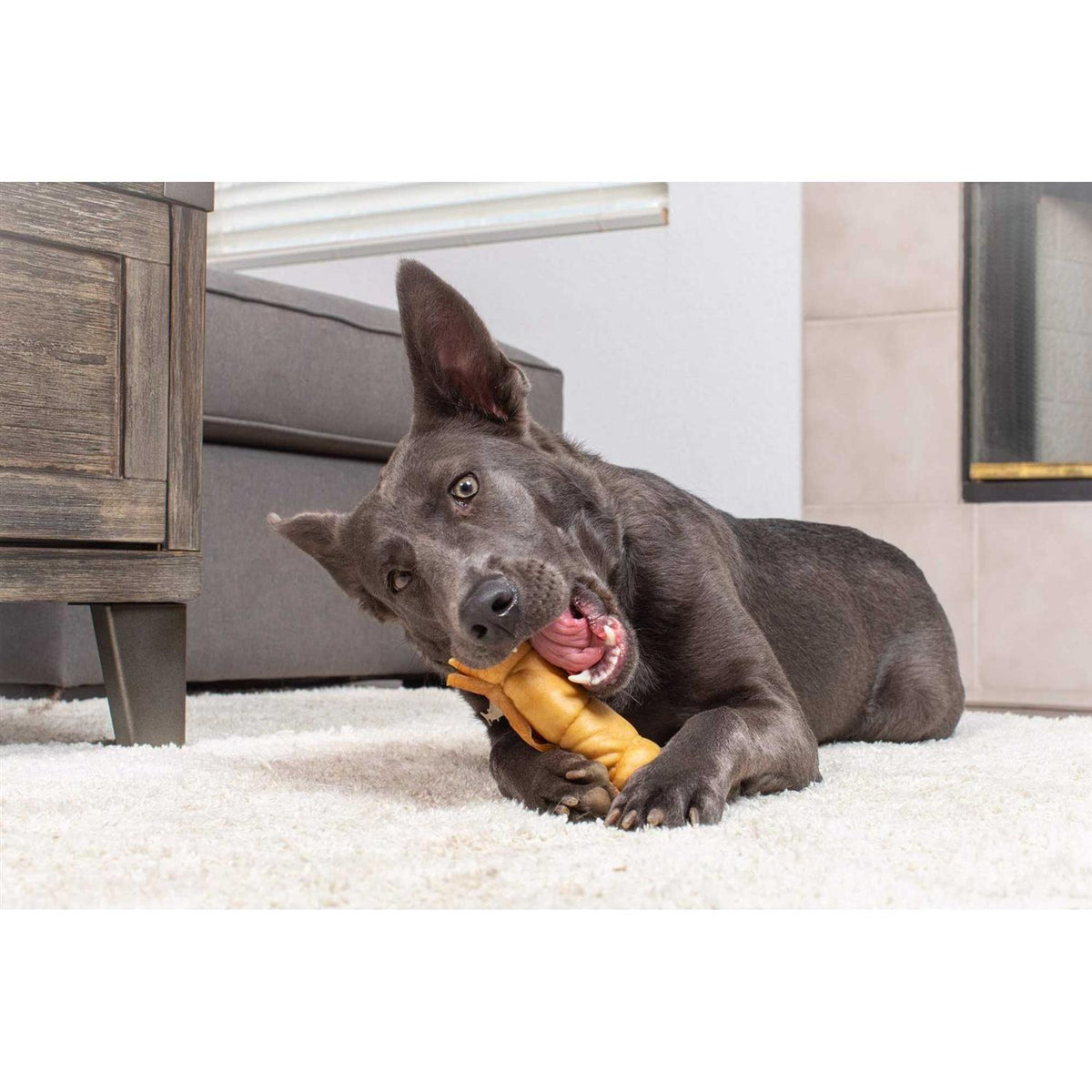 Water Buffalo Dog Chews 5 Pack G3054