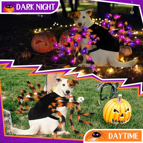 Large Breed Dog Halloween Costume with 64 LED O567876