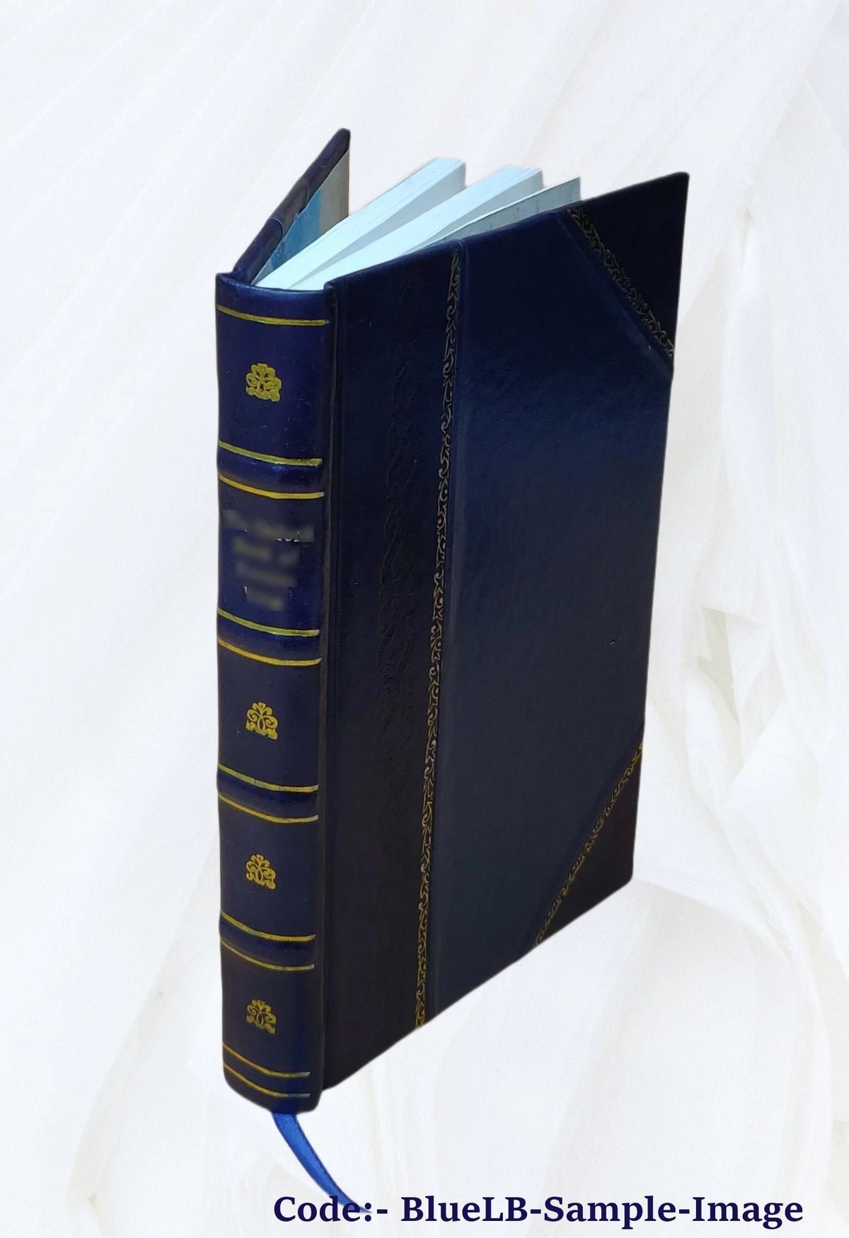 Leather Bound Transcript of Record T61815