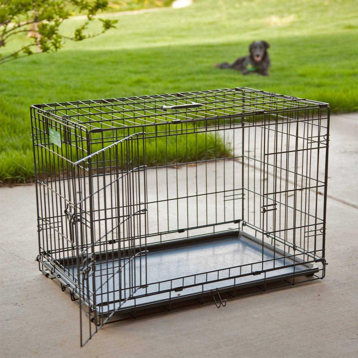 Double Door Fold Carry Dog Crate X856412