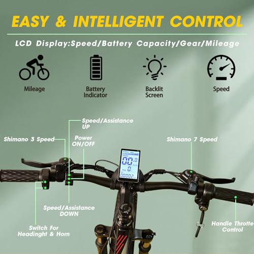 26'' Fat Tire Electric Bicycle with 750W Motor and 48V 13Ah Lithium Battery F608