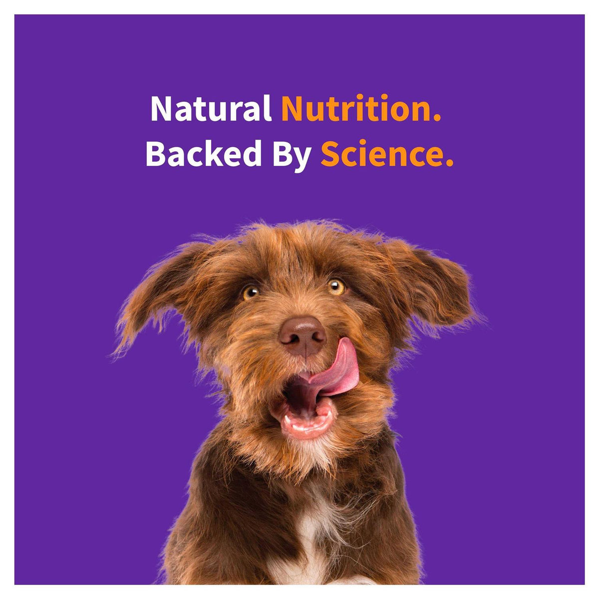 Red Meat Recipe Dry Dog Food G5186