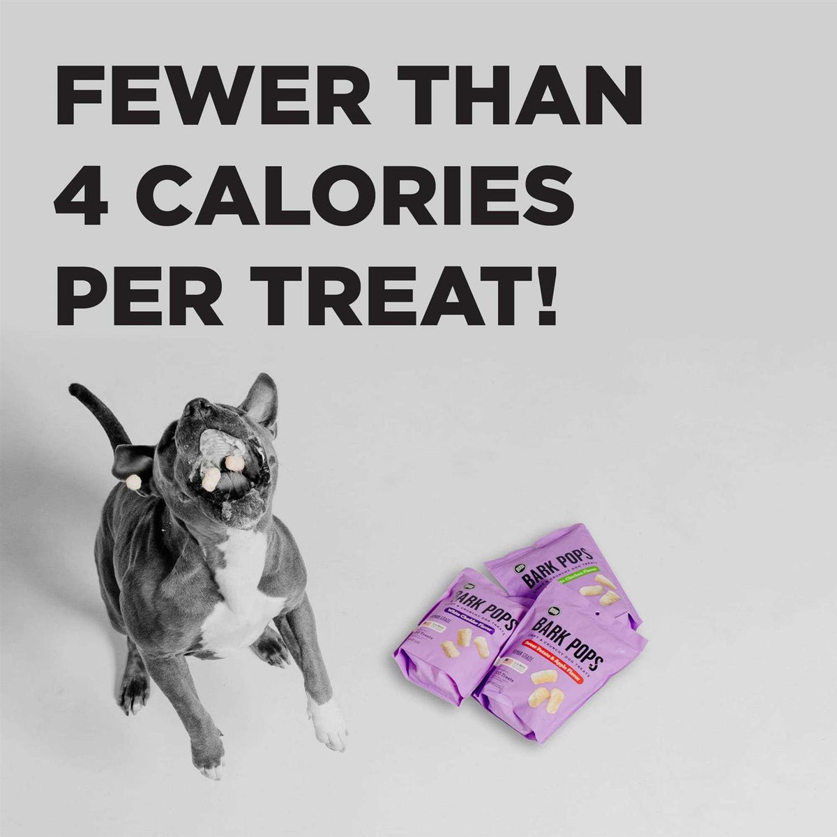 Dog Treats W13242