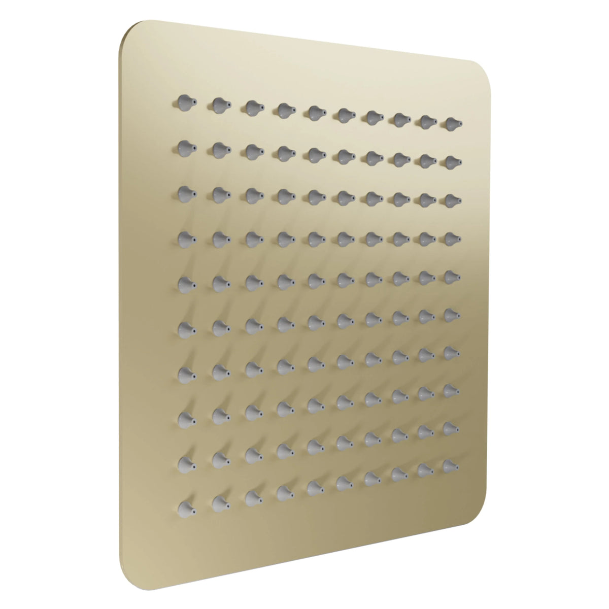 8 Shower Head in Champagne Bronze D767