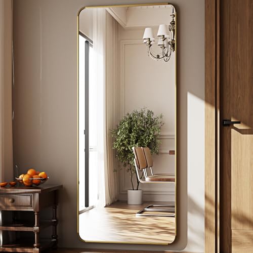56" x 21" Gold Aluminum Frame Full Length Floor Mirror H836298