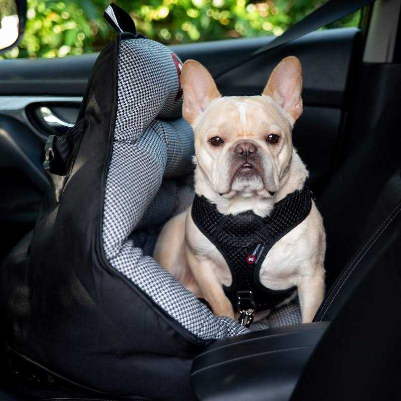 Dog Car Seat for Small and Medium Dogs Z777004
