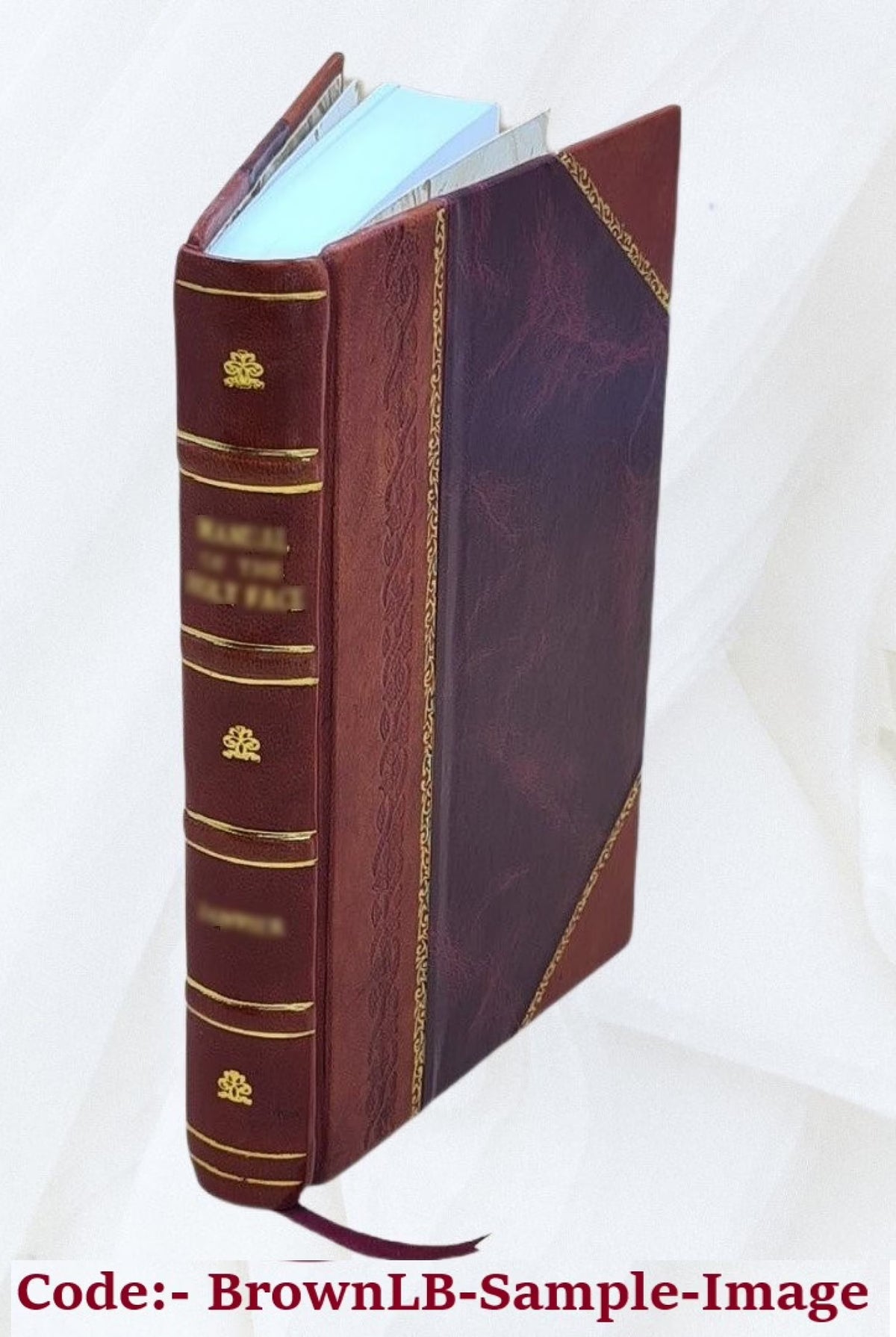 Leather Bound Book U353181