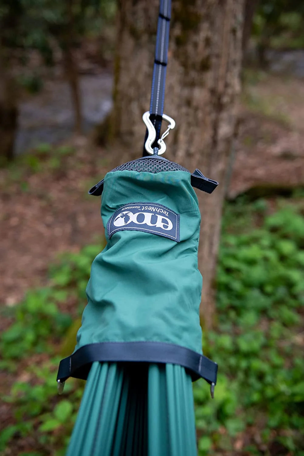 Spruce Green Hammock R263539