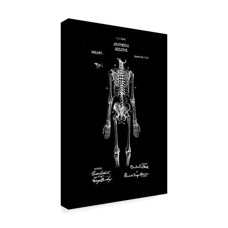Anatomical Skeleton Art Print I8520