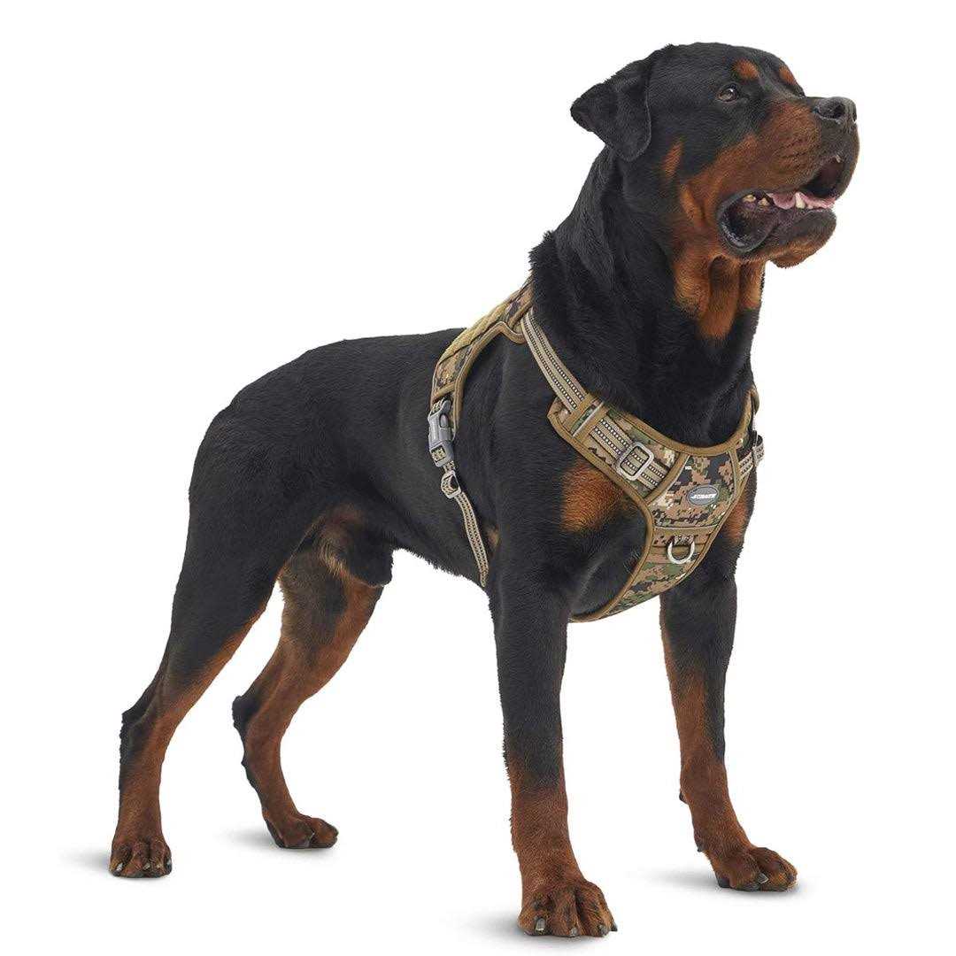 No Pull Dog Harness Y41885