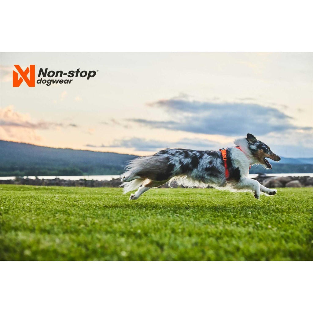 Dog Harness Q674