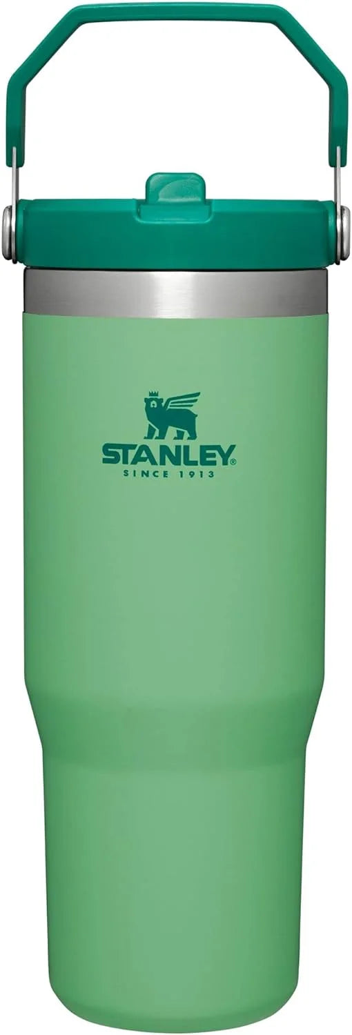 Stainless Steel Vacuum Insulated Tumbler with Straw D681