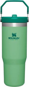 Stainless Steel Vacuum Insulated Tumbler with Straw D681