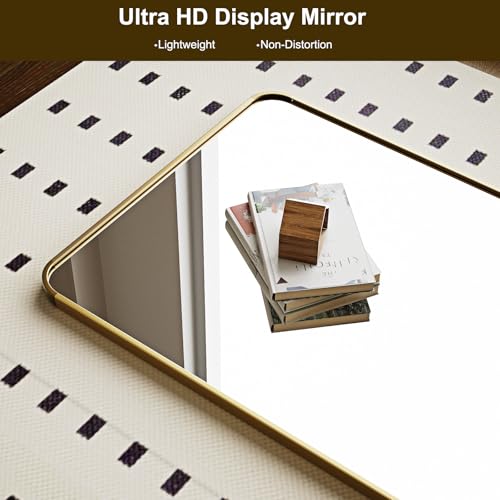 56" x 21" Gold Aluminum Frame Full Length Floor Mirror H836298