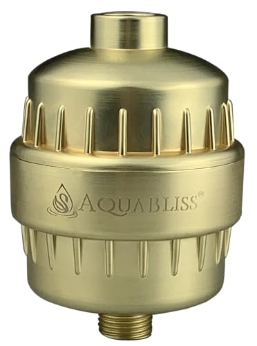 Chrome Shower Filter Z854394