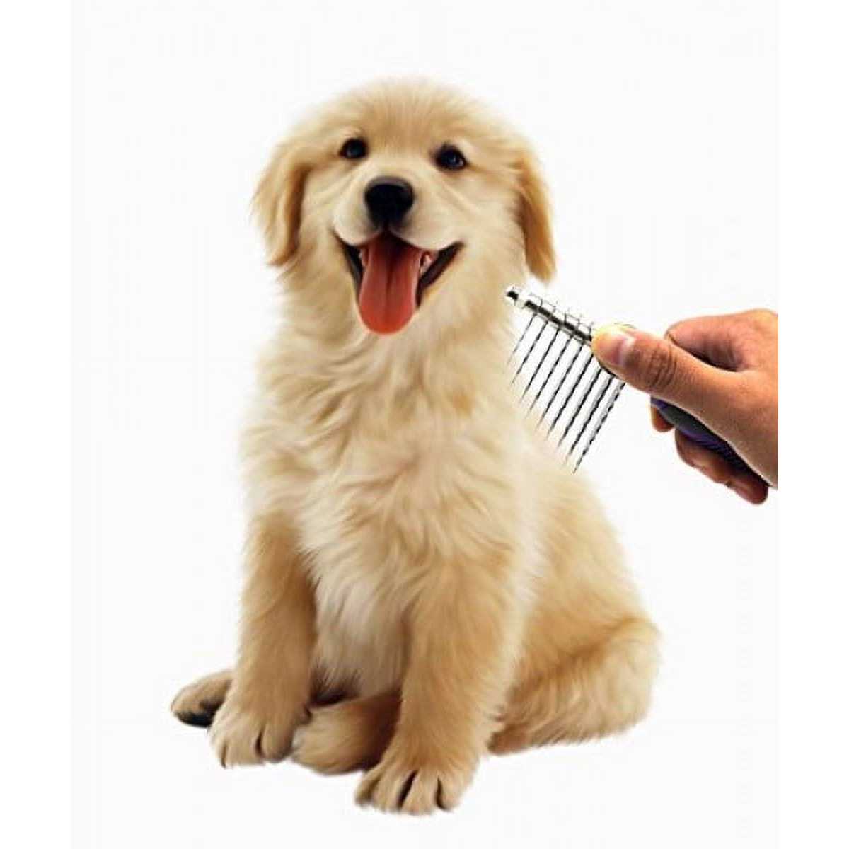 Pet Dematting Comb with Safety Edges H653441