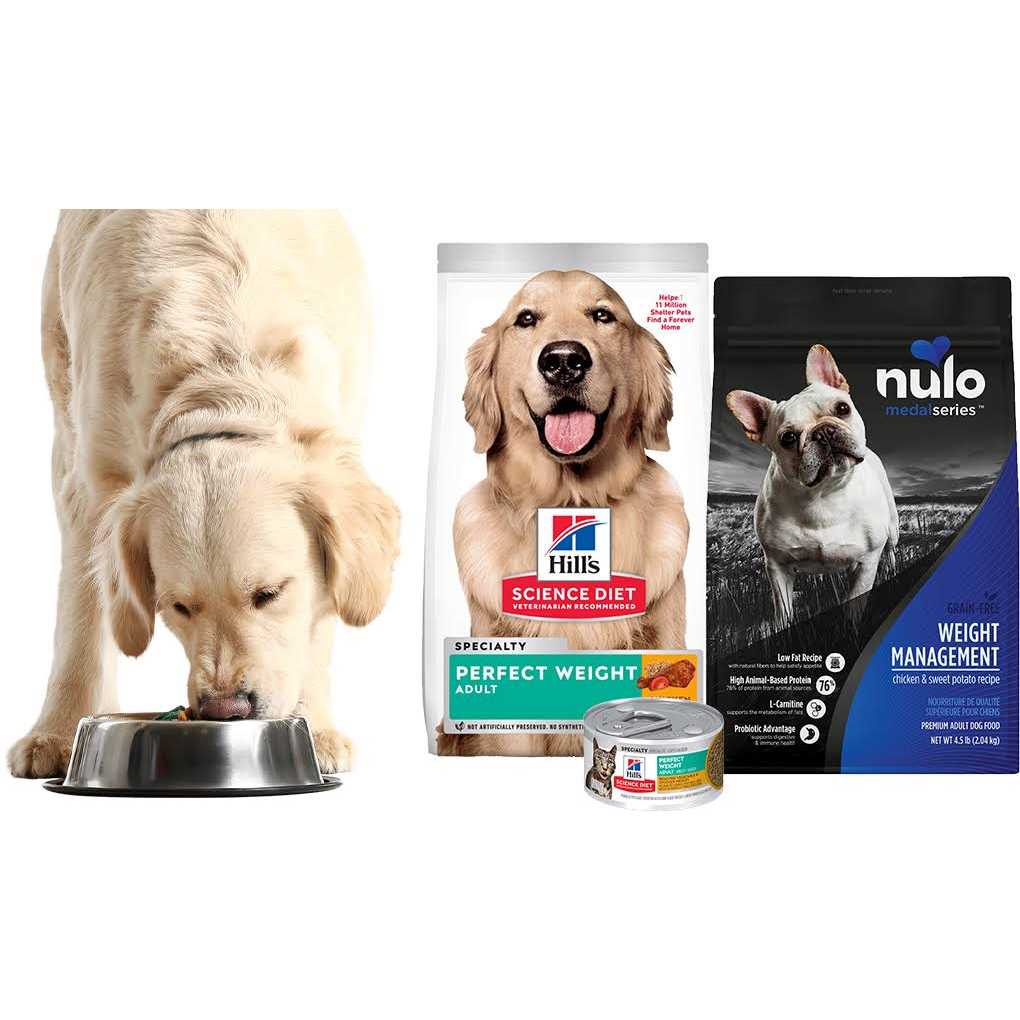 34-lb bag Dry Dog Food N706
