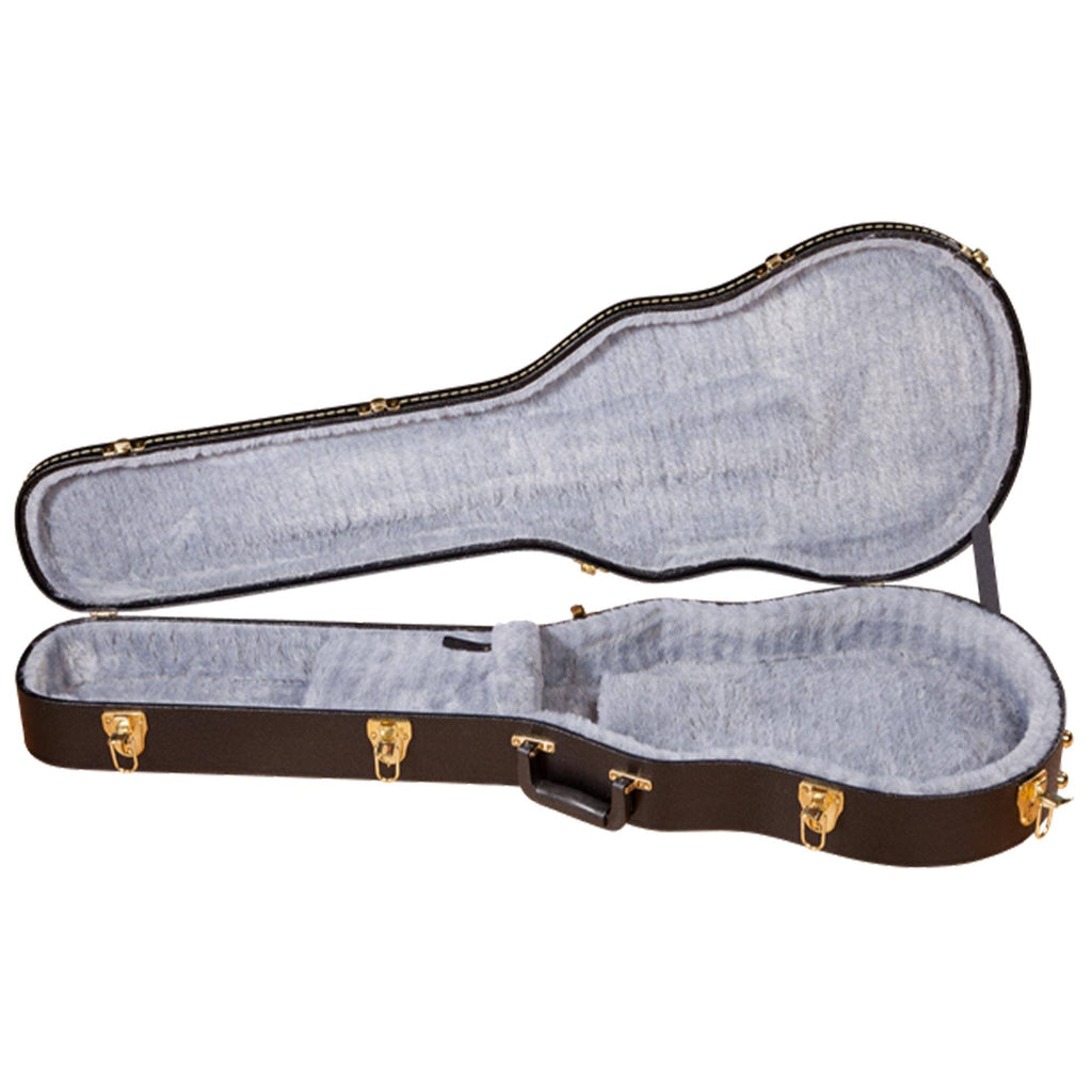Flat Top Solid Body Guitar Case V769