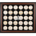 Brown Framed 30-Ball Display Case N38303