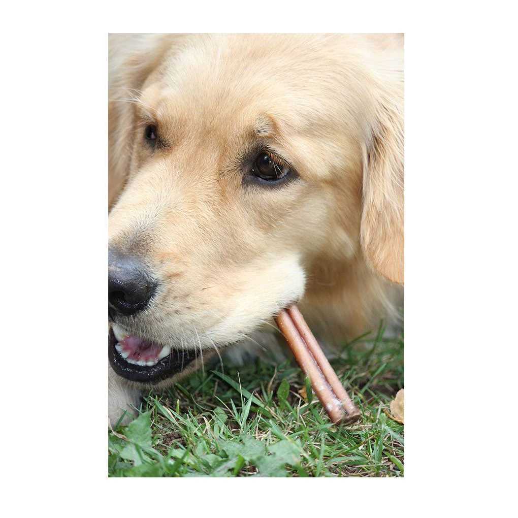 Bully Sticks For Medium Dogs H13590