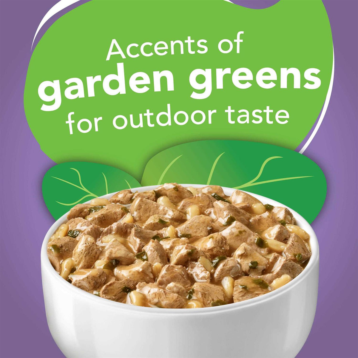 Wet Indoor Cat Food Z82956