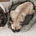 Reversible Donut Pet Bed R626