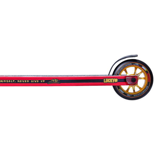 Pro Scooter E460