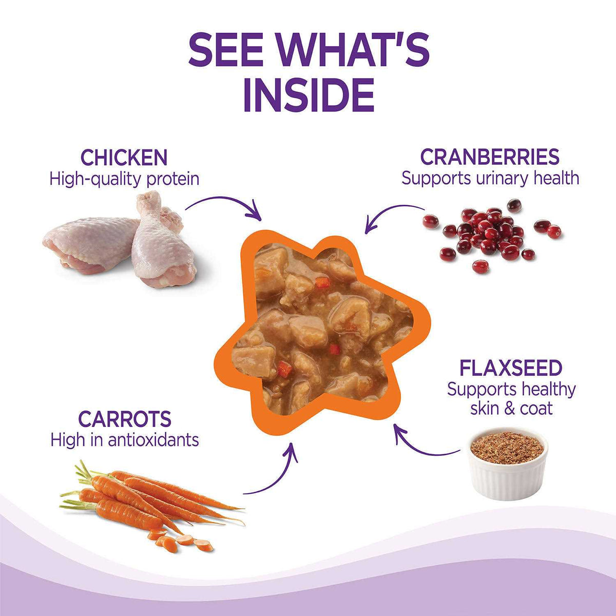 Cat Food P4810