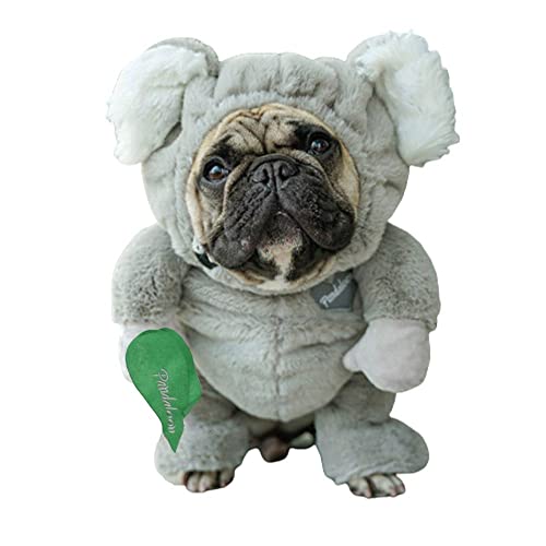 Pet Costume with Arms for Small and Medium Dogs and Cats Y7316