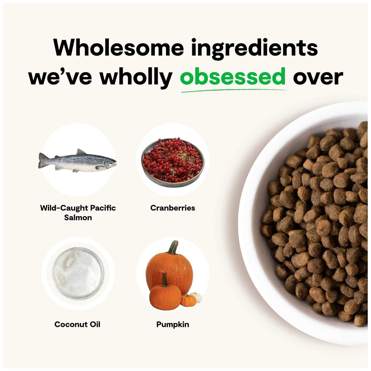Grain-Free Wild-Caught Salmon Dry Dog Food U655156