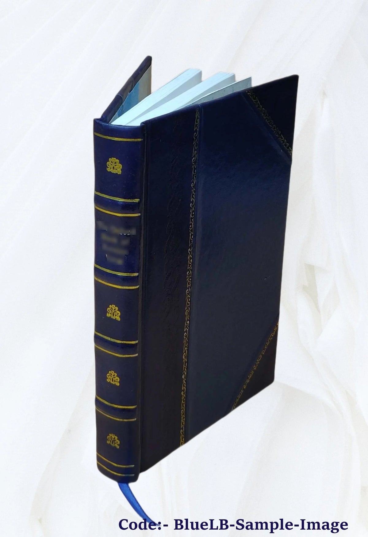 Leather Bound Book U353181