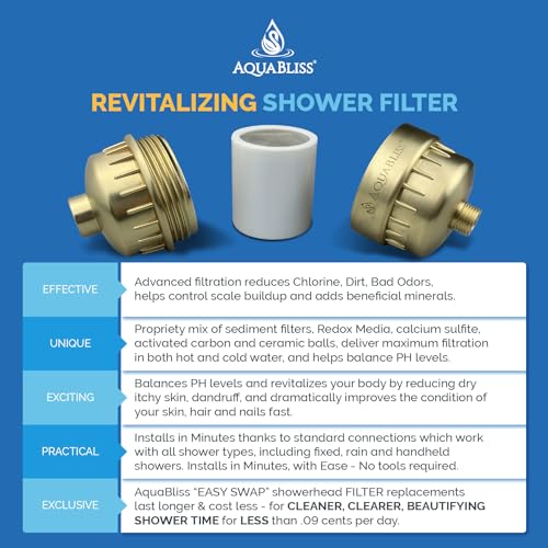 Chrome Shower Filter Z854394