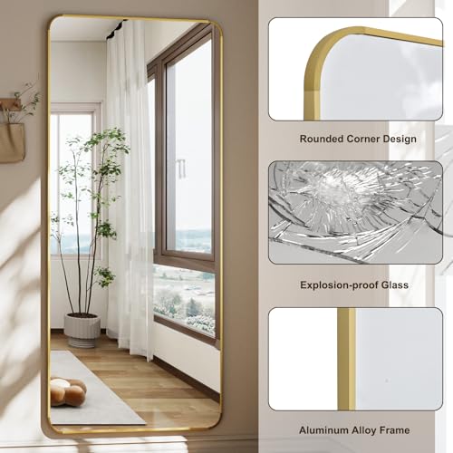 56" x 21" Gold Aluminum Frame Full Length Floor Mirror H836298