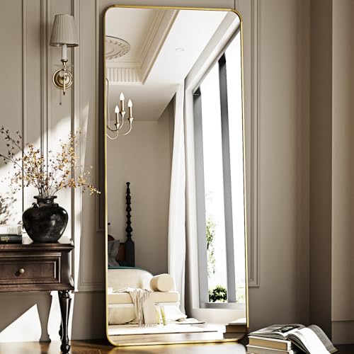 56" x 21" Gold Aluminum Frame Full Length Floor Mirror H836298