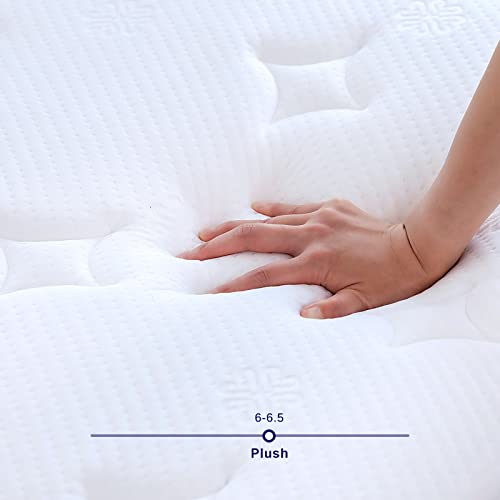8" Natural Latex Full Mattress with Pocket Coil F8614
