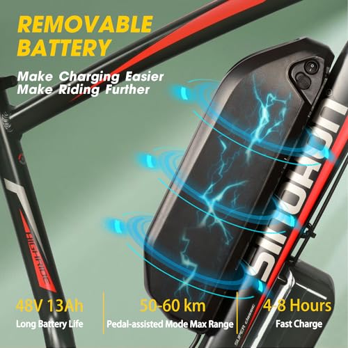 26'' Fat Tire Electric Bicycle with 750W Motor and 48V 13Ah Lithium Battery F608