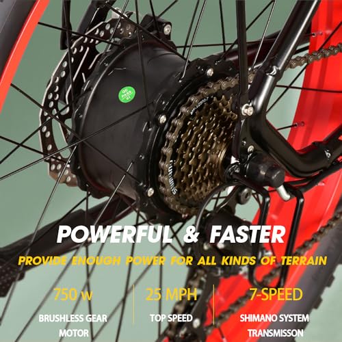 26'' Fat Tire Electric Bicycle with 750W Motor and 48V 13Ah Lithium Battery F608