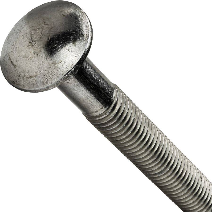 1/2-13 x 18x22 Partially Threaded Stainless Steel Carriage Bolts Qty 5 U495663