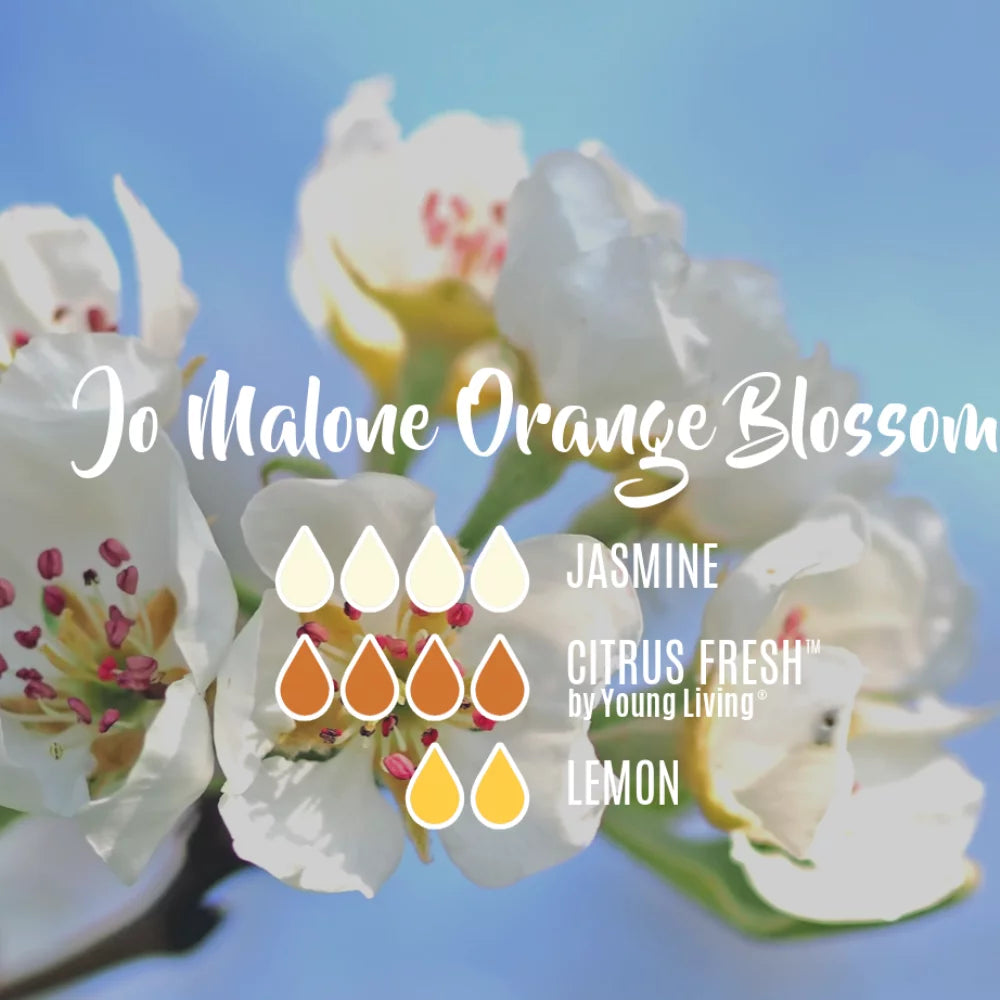Orange Blossom Diffuser 5.6 oz F8918