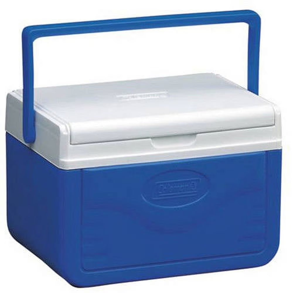 5 Quart Hard Sided Cooler S234
