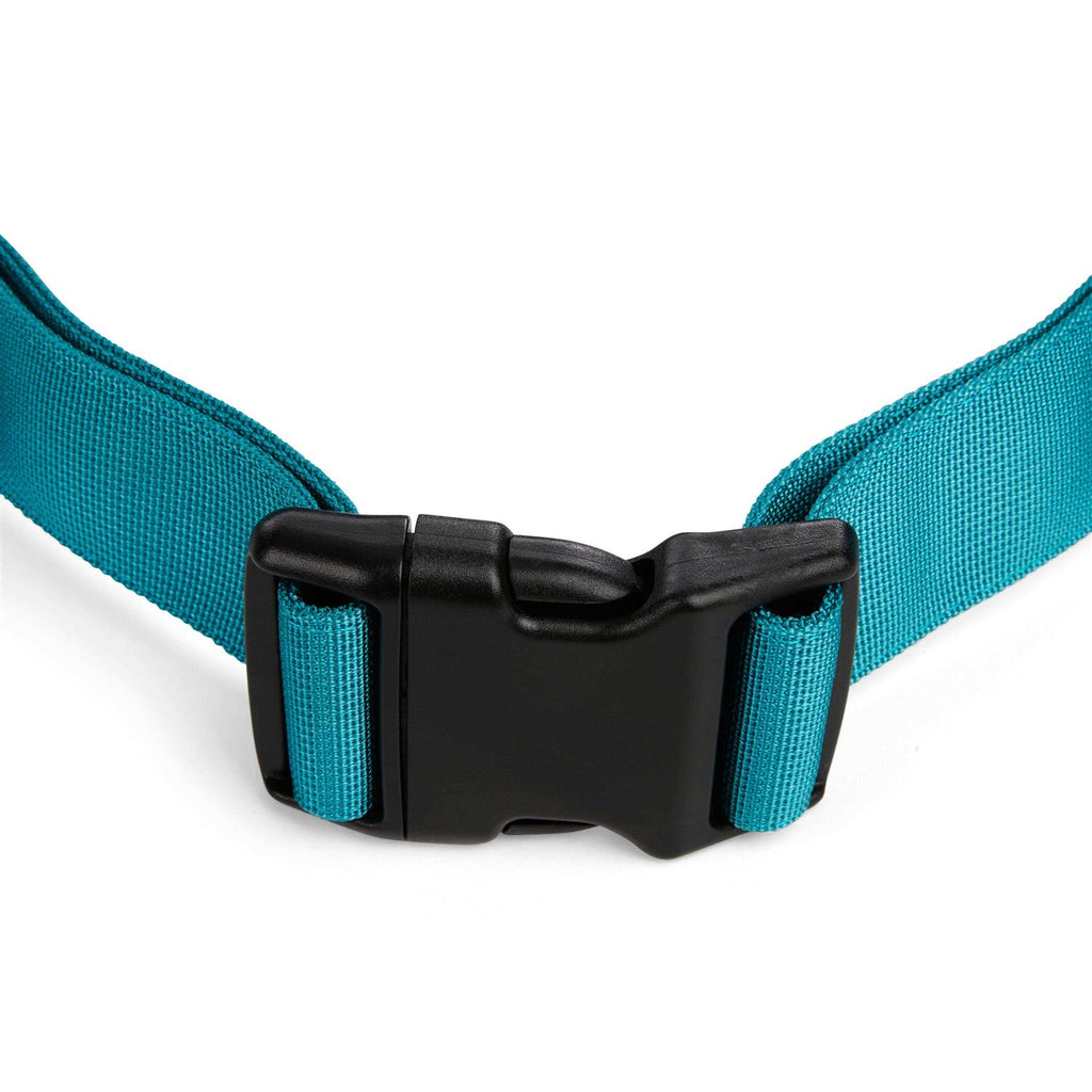 Running Belt & Leash Set for Dogs T408670