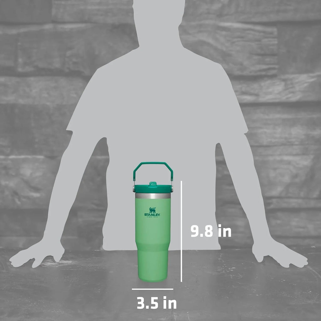 Stainless Steel Vacuum Insulated Tumbler with Straw D681