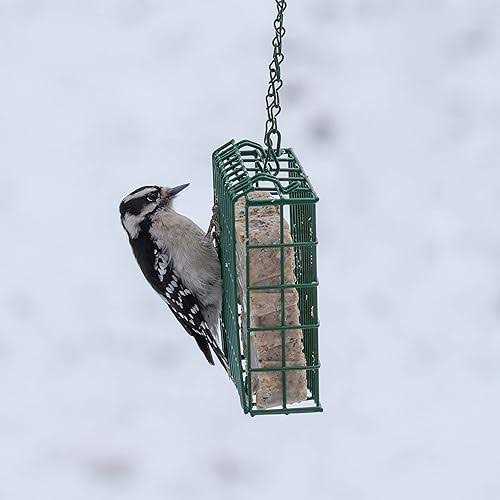 High Energy Suet K405