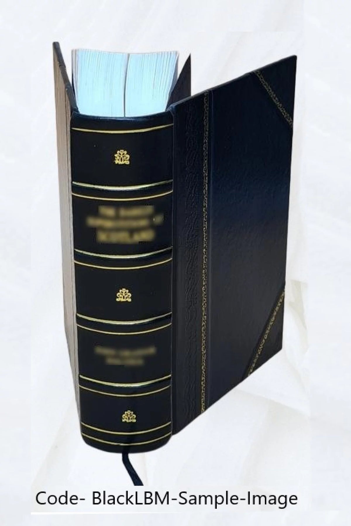 Winchester Centennial Celebration Leather Bound W6270