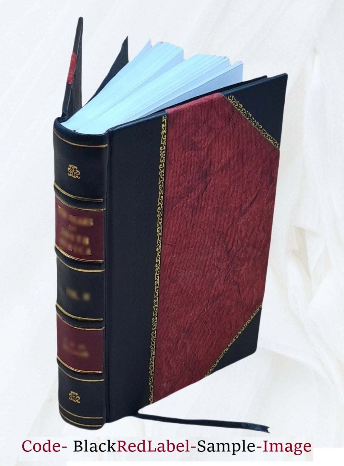 Leather Bound Transcript of Record T61815