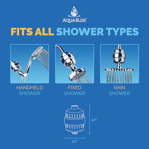 Chrome Shower Filter Z854394