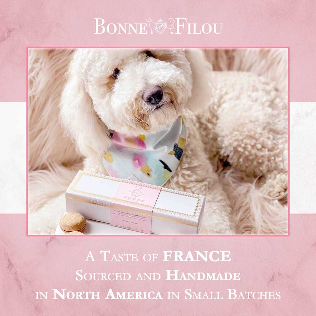Dog Macarons N21663