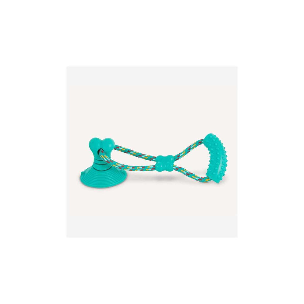 Suction Cup Tug Dog Toy M70932