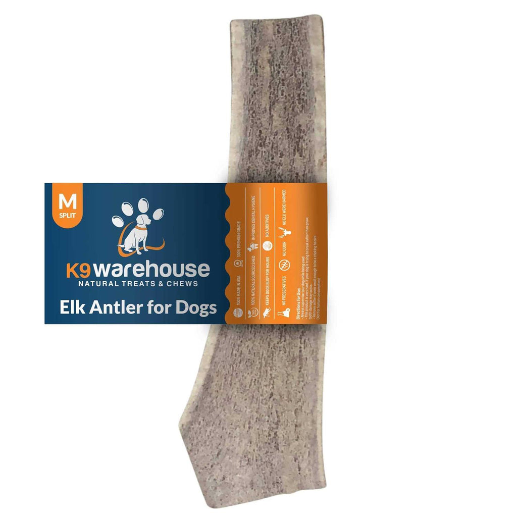 Elk Antlers for Dogs O922570