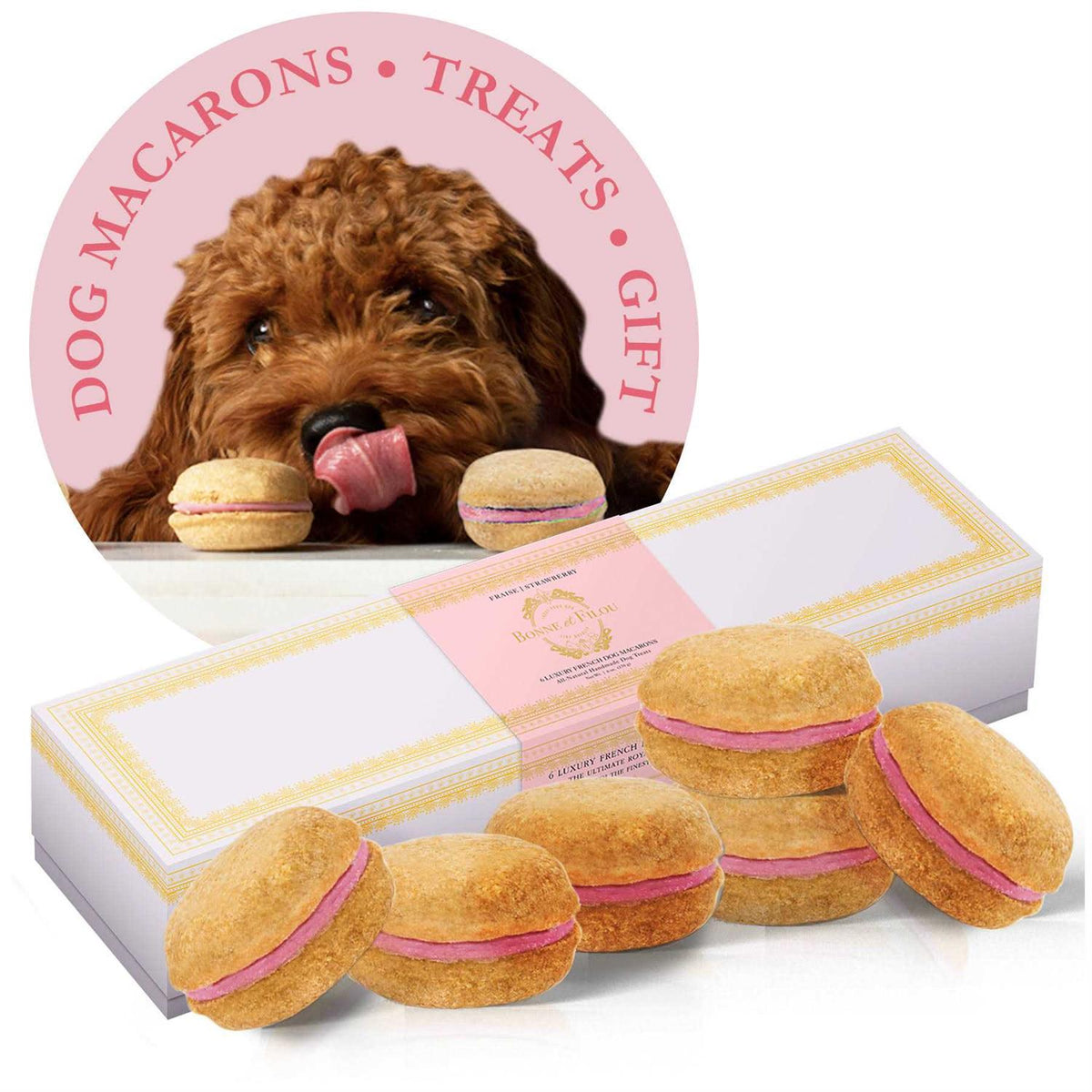 Dog Macarons N21663